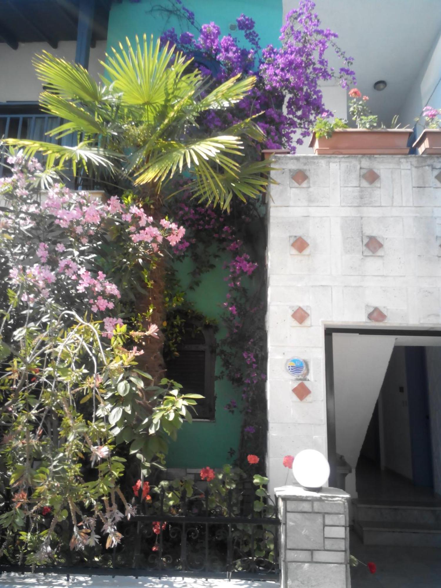 Tassos 2 Aparthotel Pefkochori Exterior foto